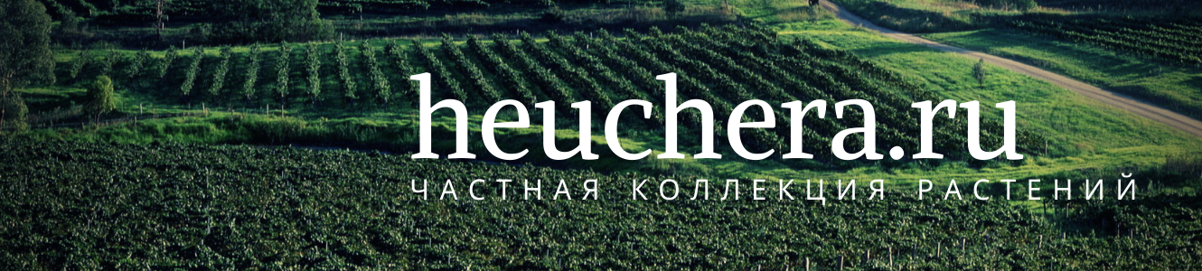 heuchera.ru